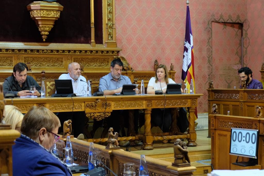 La consellera de Territori i Infraestructures del Consell de Mallorca, Mercedes Garrido, explica el Reglament al Ple
