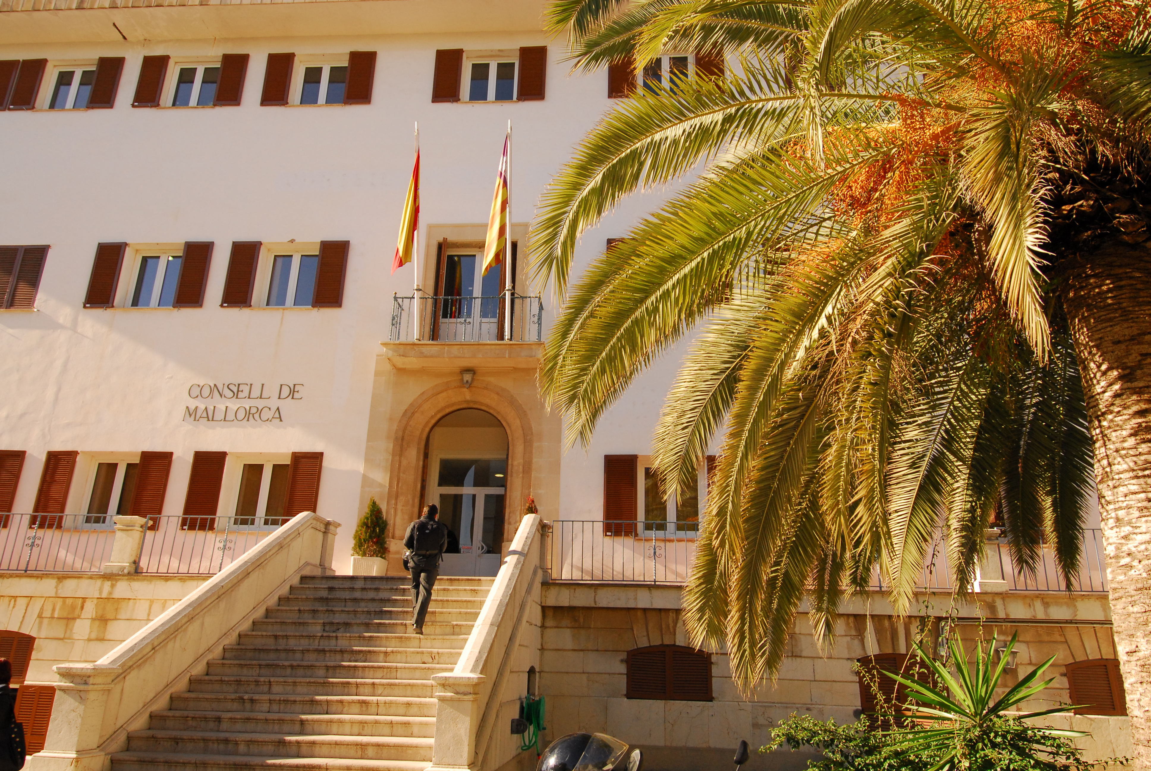 El Departamento de Drets Socials del Consell de Mallorca ha aumentado su presupuesto un 6,11% hasta alcanzar los más de 211,5 millones de euros