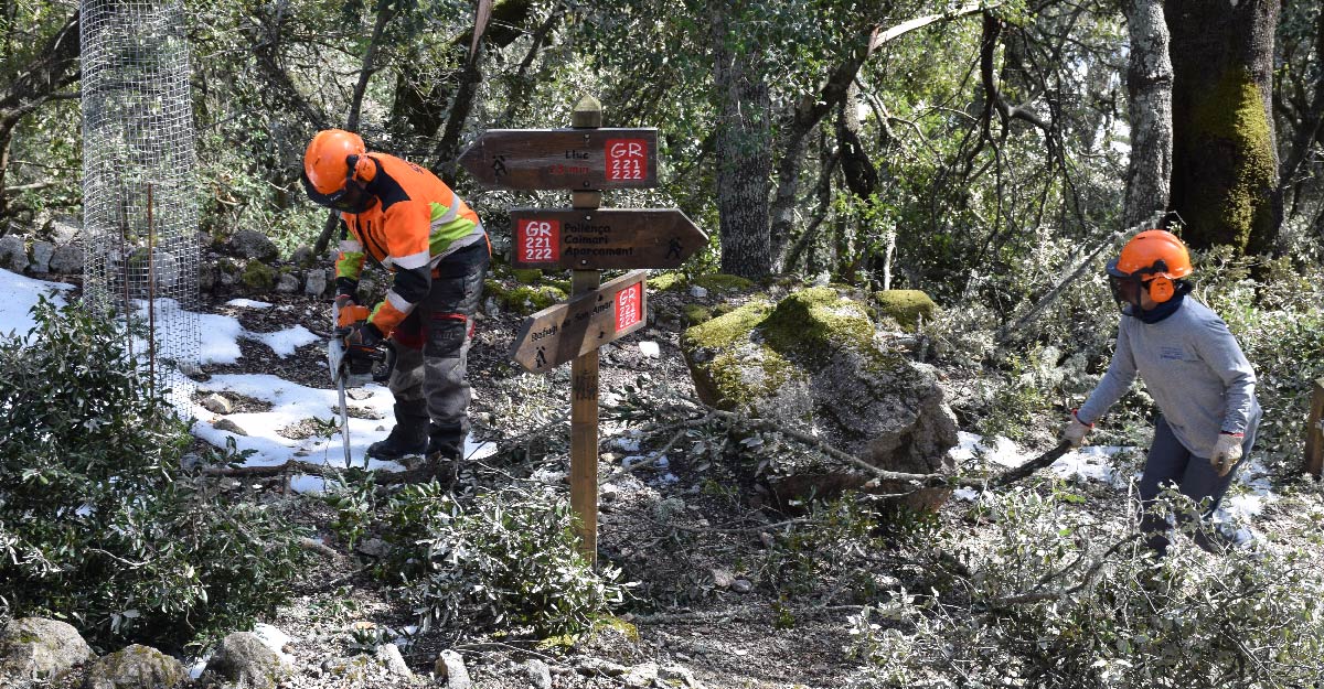 Neteja forestal de diferents trams de la Ruta de Pedra en Sec afectats per la borrasca Juliette