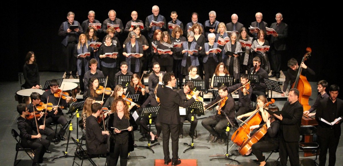 Orquestra Lauseta, en concert