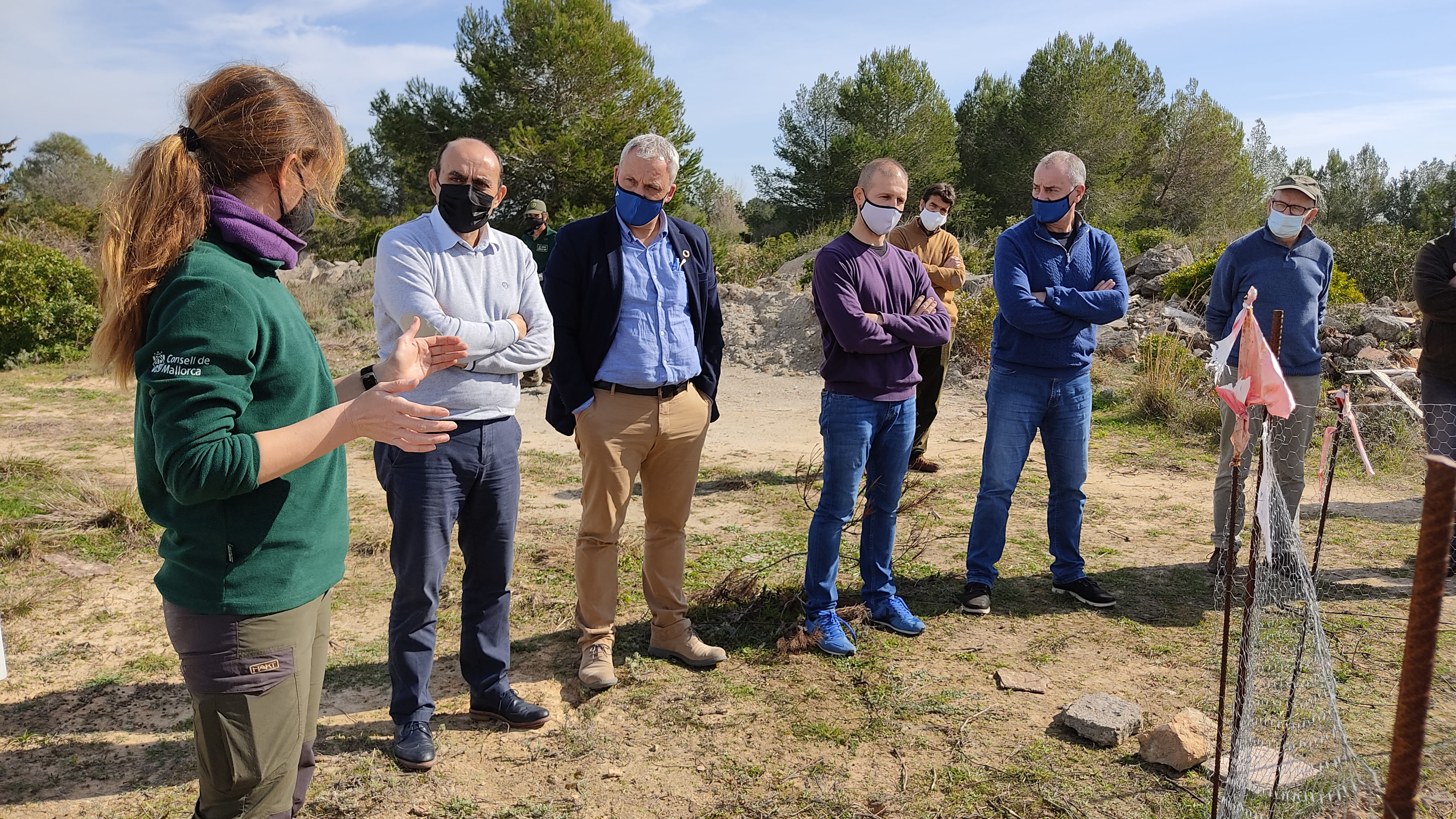 El conseller Alzamora, el director insular de Caça i el batle de Muro Toni Serra han visitat el projecte de recuperació del conill. 