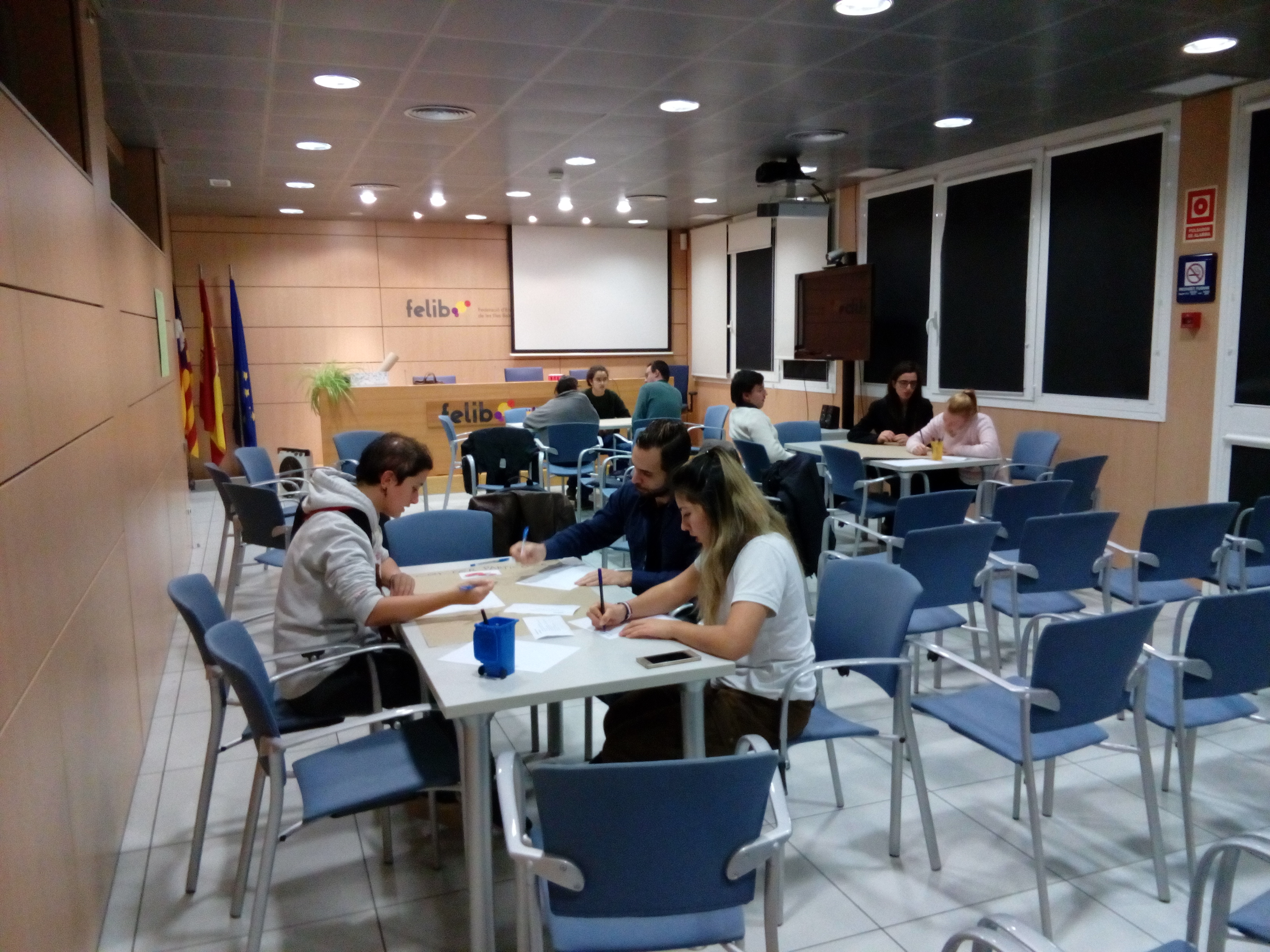 S’han realitzat dos tallers amb joves perquè diguin la seva quant al nou Reglament de Participació Ciutadana del Consell, un a Inca i l’altre a Palma.