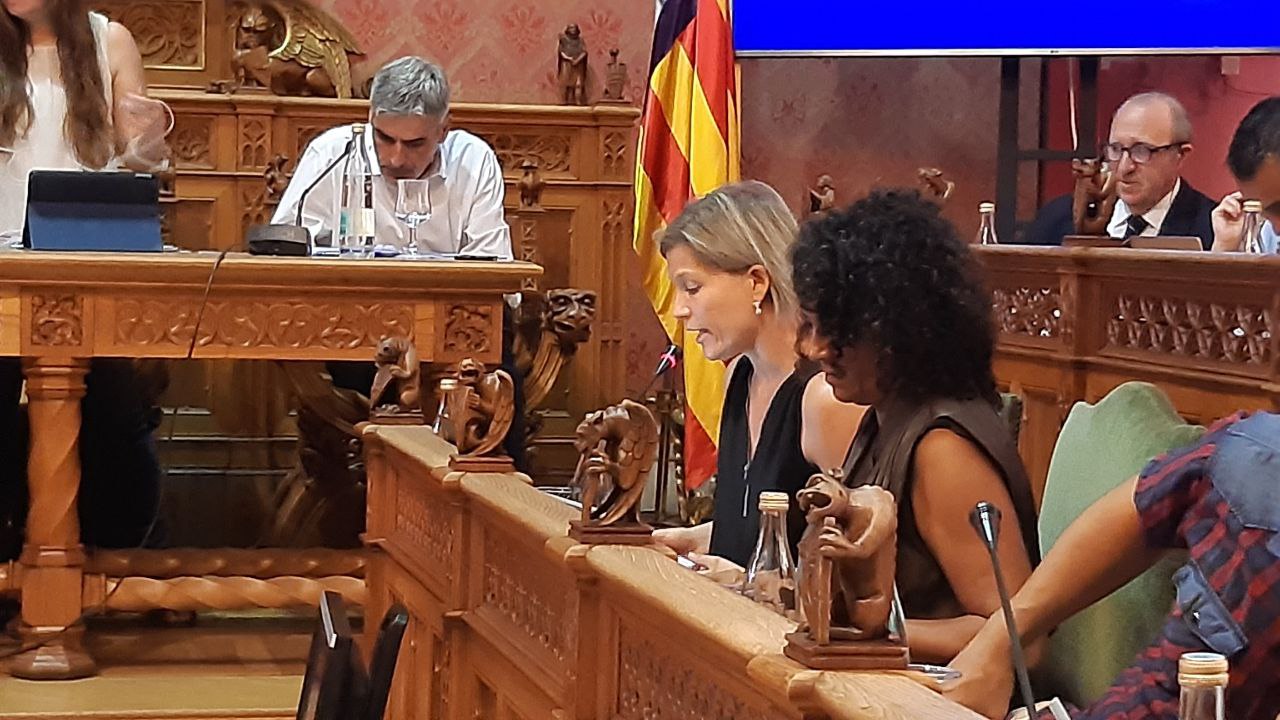 Intervenció de la consellera Sofia Alonso durant la sessió plenària. 