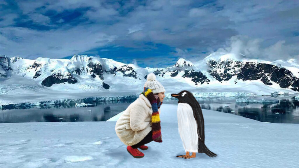 La pingüina viatgera - Contacontes